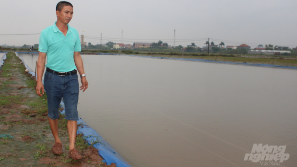 Lãi cao nhờ nuôi cá sạch
