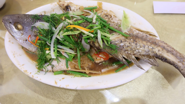 Cá chẽm chưng tương cho ngày lạnh