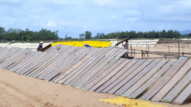 Nghề tráng bánh ở Bình Định hối hả vào vụ tết
