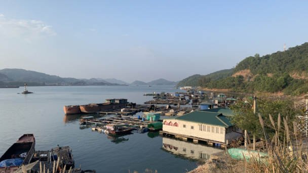 Vựa nhuyễn thể lớn nhất Quảng Ninh 'đóng băng'