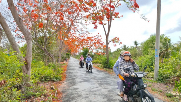 Mỹ Xuyên xây dựng nông thôn mới gắn với tái cơ cấu ngành nông nghiệp