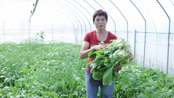 Cơ cấu lại ngành nông nghiệp theo hướng phát triển bền vững