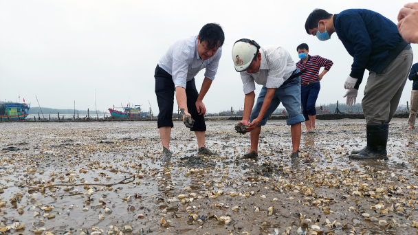 Kết luận nguyên nhân ngao chết bất thường tại Thanh Hóa