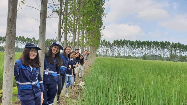 Cần ưu tiên trồng cây phân tán bản địa