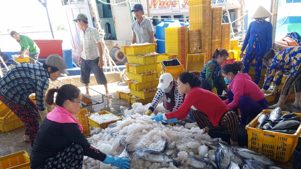 Ngư dân Cà Mau ôn luật trước khi vươn khơi