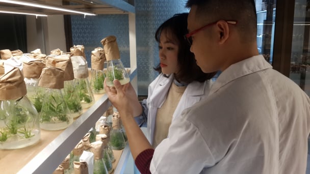 Nguy cơ tụt hậu trình độ khoa học công nghệ