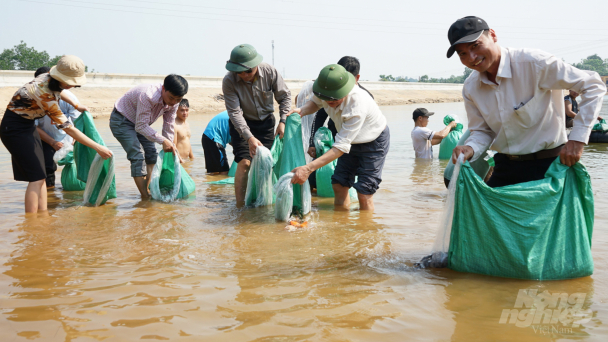 Thả hơn 9.000 con cá giống tái tạo nguồn lợi thủy sản