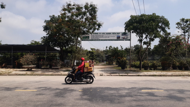 Ở Huế người ta cho thuê cả héc-ta đất vàng với giá 0 đồng
