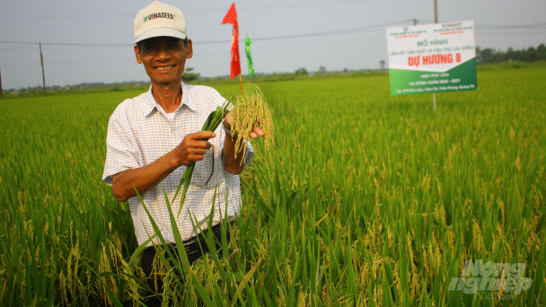 Nông dân ‘miền đất lửa’ mê tít các giống lúa của Vinaseed Group