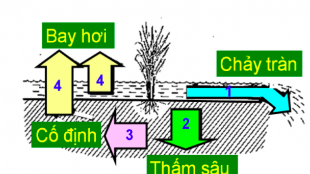 Giải pháp giảm thất thoát phân bón