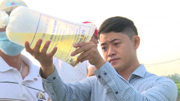 Nuôi tôm sú thâm canh 2 giai đoạn