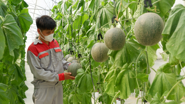 Gắn khoa học công nghệ với nông nghiệp hướng hữu cơ, bền vững