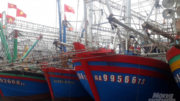 Tàu Nghị định 67 bị lôi ra tòa, Bảo hiểm PJICO ngó lơ