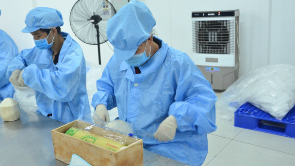 Khoa học, công nghệ giúp dừa Bến Tre nâng tầm thế giới
