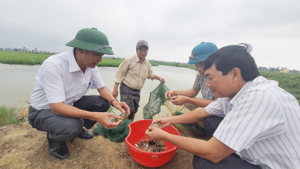 Trồng lúa hữu cơ, thắng lớn từ tôm cua