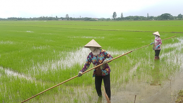 Hộ nghèo giảm mạnh, thu nhập tăng nhanh