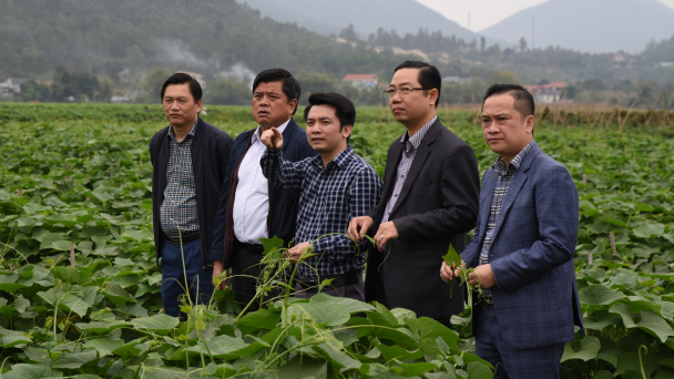 Thí điểm Làng nông nghiệp hữu cơ