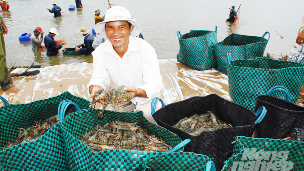 Xuất khẩu tôm vẫn 'sáng cửa' trong khó khăn