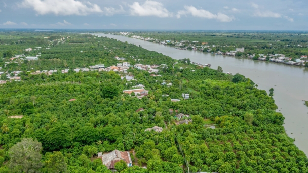Đường về cù lao Giêng
