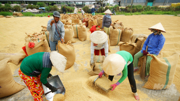 Triển khai sản xuất nông nghiệp có tính đến thời gian bình thường mới