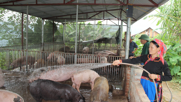 Huyện vùng sâu phát triển mạnh chăn nuôi