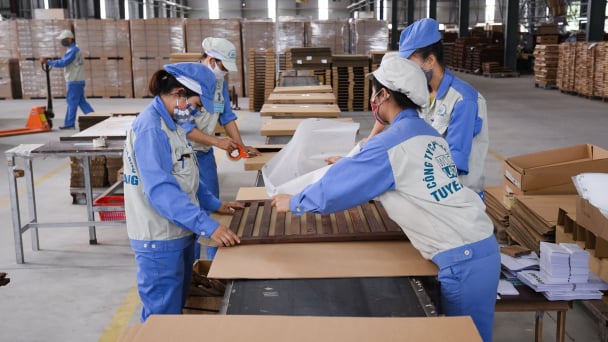 50% doanh nghiệp ngành gỗ đối diện nguy cơ phá sản
