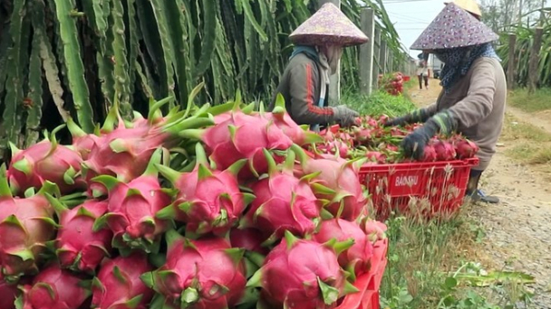 Phan Thiết phấn đấu xóa nghèo, cải thiện mức sống người dân
