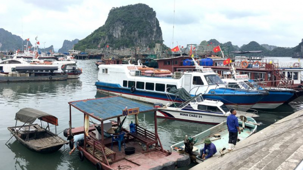 Quảng Ninh tiếp tục cấm biển các ngày tới