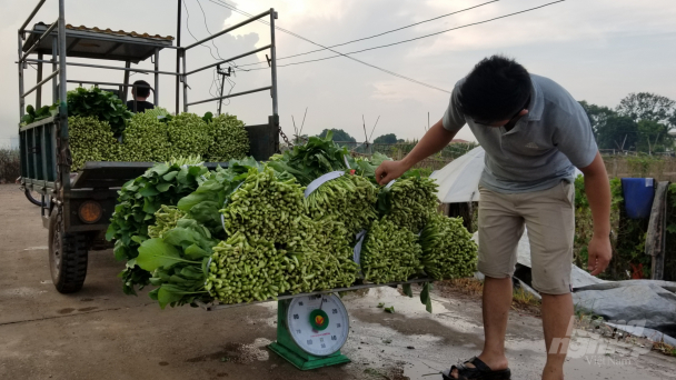 Chuyện Quỹ Khuyến nông ở một huyện chuẩn bị lên quận