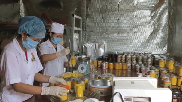 Công nghệ thông tin, cánh tay đắc lực cho nông nghiệp hiện đại