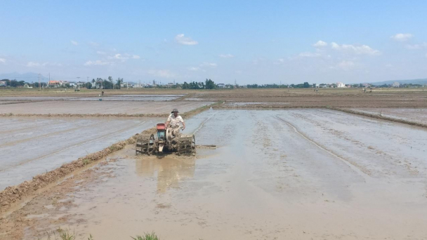 Chuyển đổi sang cây trồng cạn ở vùng khó khăn về nước tưới