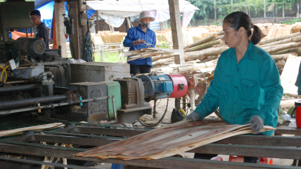 Các cơ sở chế biến gỗ lao đao