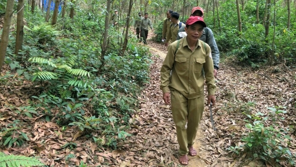 Chọn quy trình phù hợp để trồng cây bản địa ở rừng phòng hộ