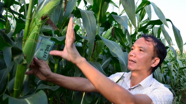 Tháo 'vòng kim cô' cho các viện nghiên cứu