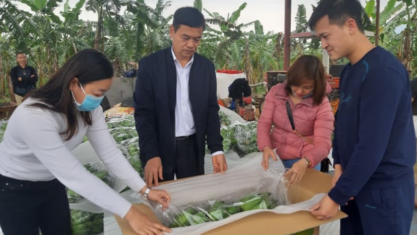 Phối hợp chặt giữa sản xuất và tiêu thụ nông sản