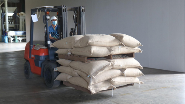 Doanh nghiệp 'tăng tốc' sau dịch bệnh