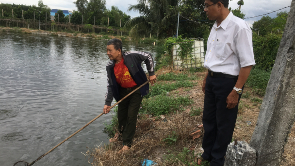 Hết cảnh long đong nhờ nuôi cá rô đầu vuông xen vụ cá lóc