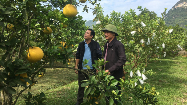 Thái Nguyên: Hoàn thành xã nông thôn mới nâng cao nơi vùng cao Võ Nhai