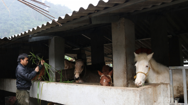 'Người bạn' đồng hành mới của nông dân Hà Giang