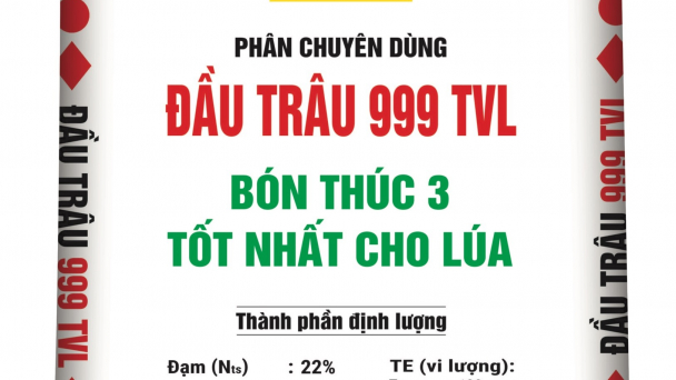 Một số lưu ý canh tác lúa đông xuân 2021 - 2022 ở miền Trung