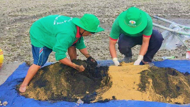 'Hữu cơ hóa' nông nghiệp với sản phẩm vi sinh
