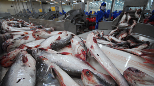 The US market: So much room for Vietnamese agriculture