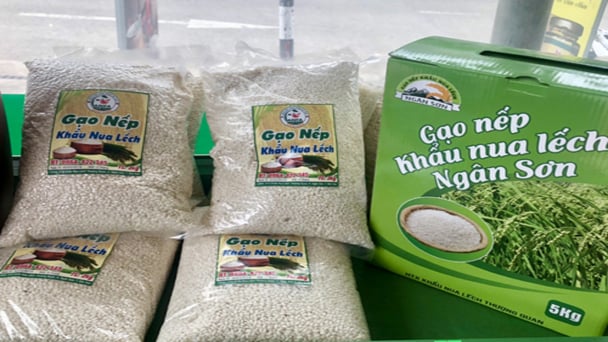 Bắc Kạn có 8 sản phẩm đạt giải “Thương hiệu vàng nông nghiệp Việt Nam”