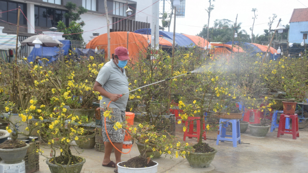 Mai tết ế ẩm chưa từng thấy