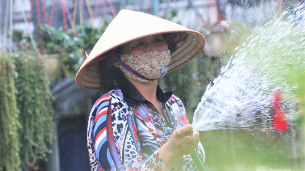 Thị trường hoa, cây cảnh Tết: Kẻ khóc người cười