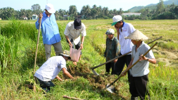 Ráo riết diệt chuột bảo vệ lúa đông xuân