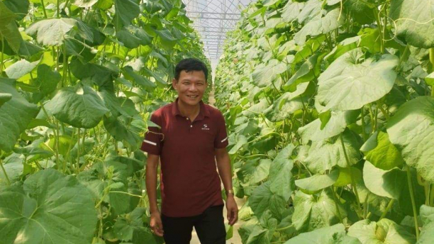 Đầu tư trồng dưa nhà lưới, thắng ngay năm đầu