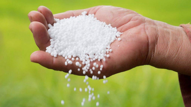 Sau nhịp giảm mạnh, xu thế giá phân bón thời gian tới như thế nào?