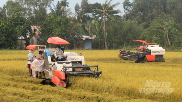 Kiên Giang xây dựng 20 cánh đồng lớn