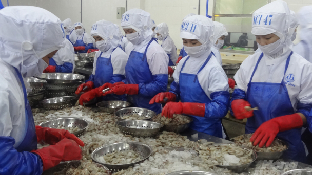 Thủy sản trước cơ hội 'phá dớp' 8 tỷ USD